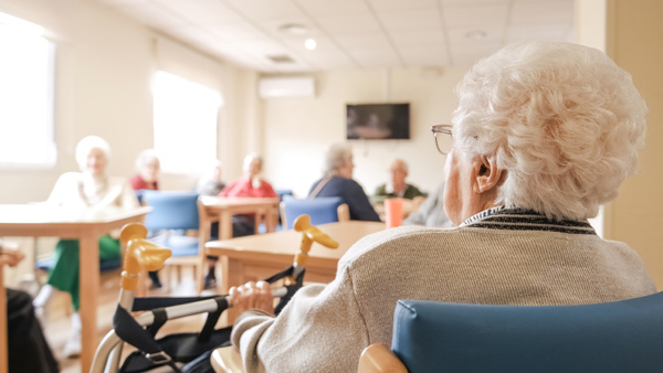 Langerholc Statement on Auditor General Audit of the Department of Aging